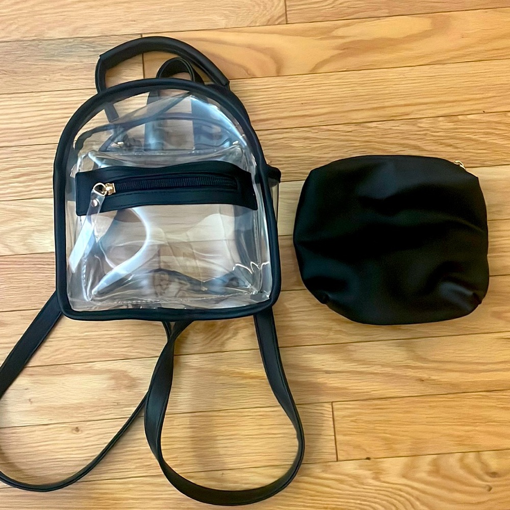 Transparent Mini Backpack